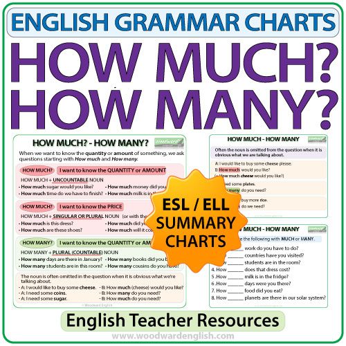 How much? How many? - English Grammar Charts