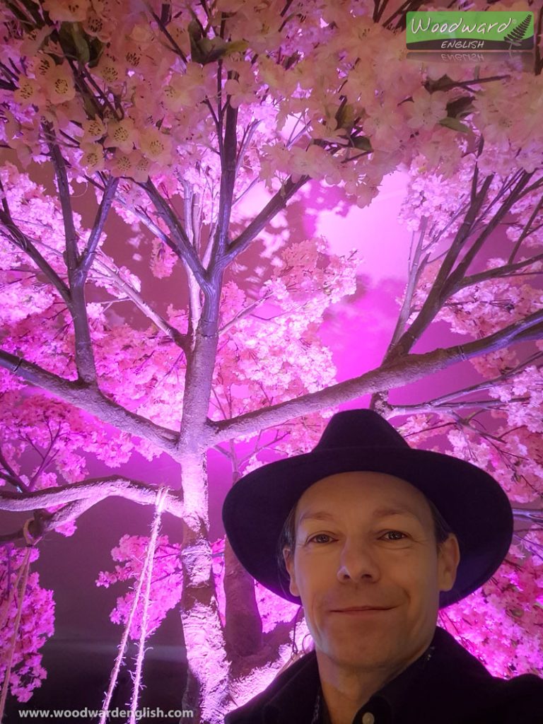 Rob Woodward with the Pink Tree at the Pullman Auckland Cocktail Party - New Zealand - NZCreatorCon 24